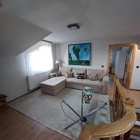 Casa De Vacanta Cu Piscina Incalzita&Jacuzzi Holiday home Pietrari